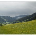 Schnee im Allgäu am 31. Mai