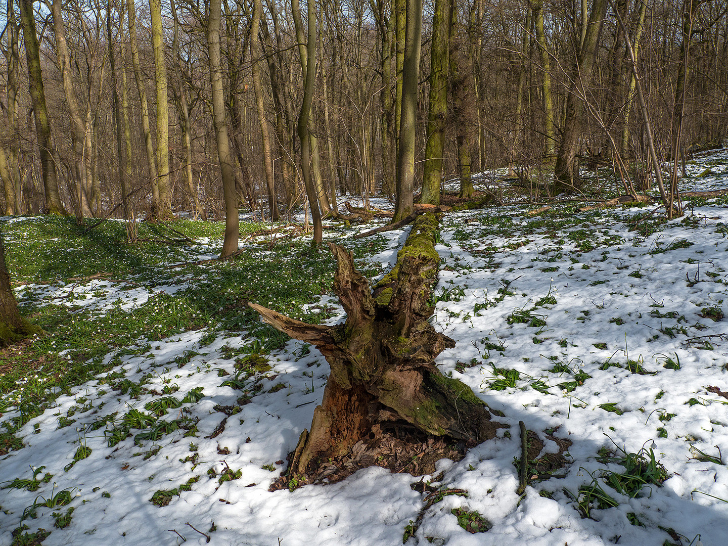 Schnee im April