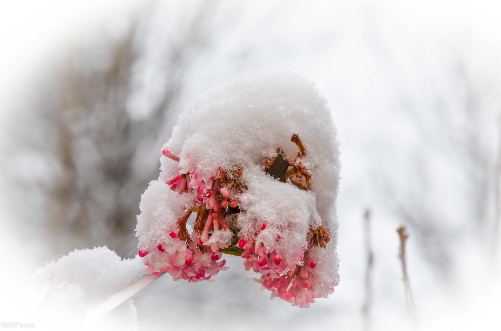 Schnee im April