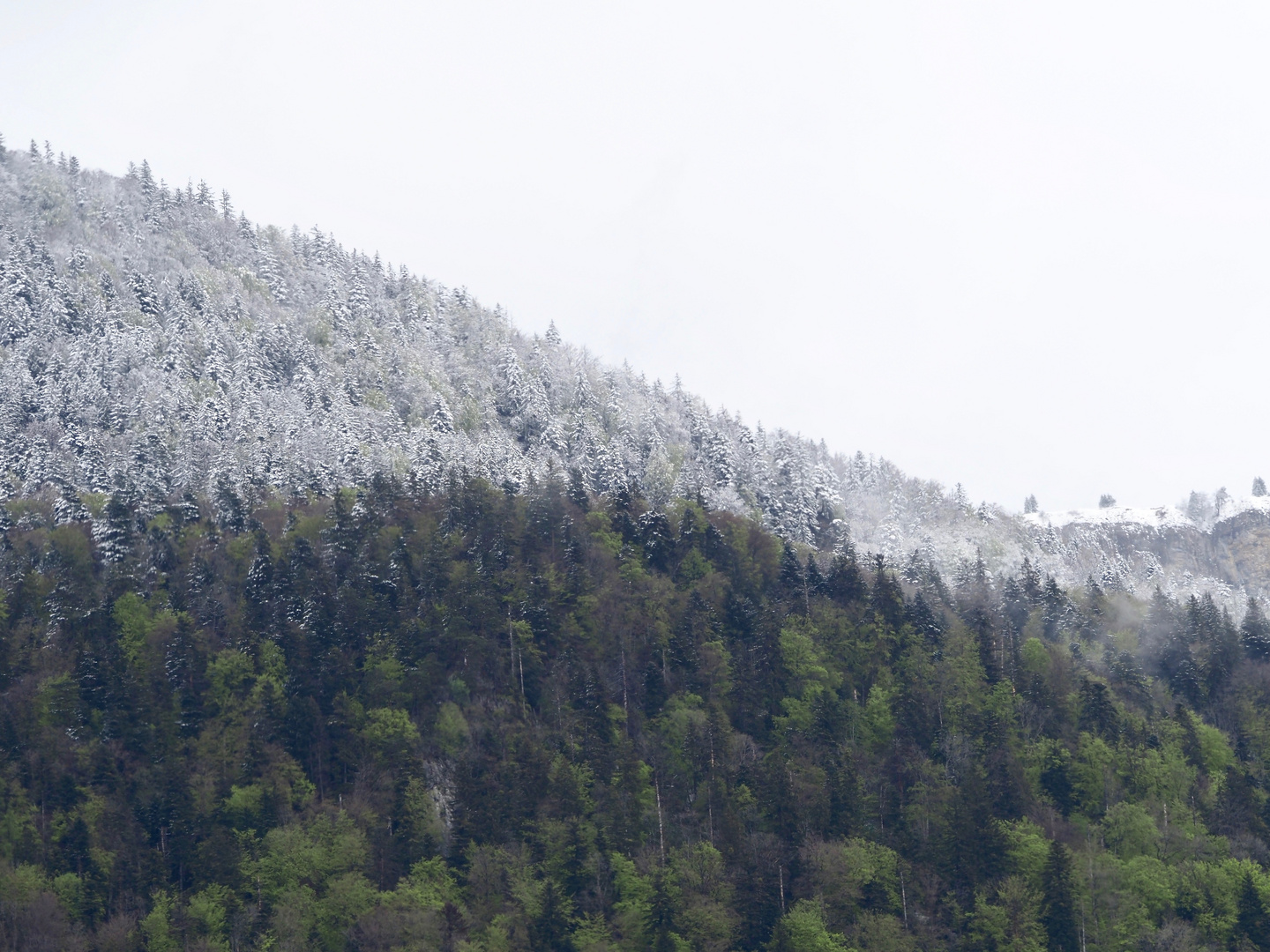 Schnee im April