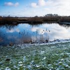 Schnee im Bremer Blockland