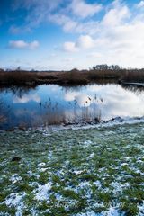 Schnee im Bremer Blockland