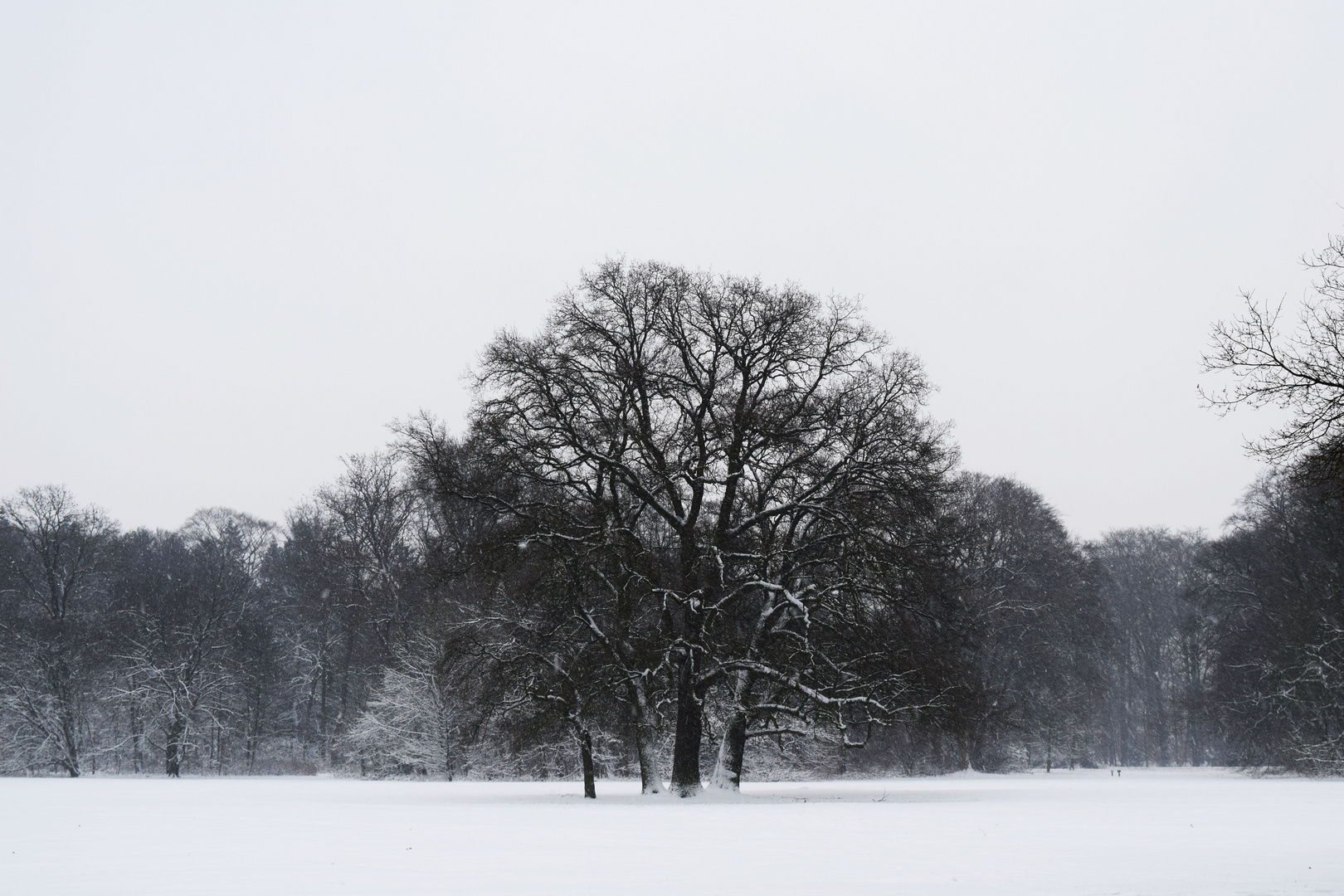 Schnee im Bremer Bürgerpark