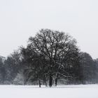 Schnee im Bremer Bürgerpark