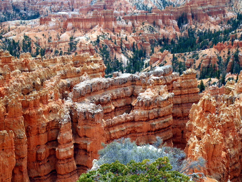 Schnee im Canyon