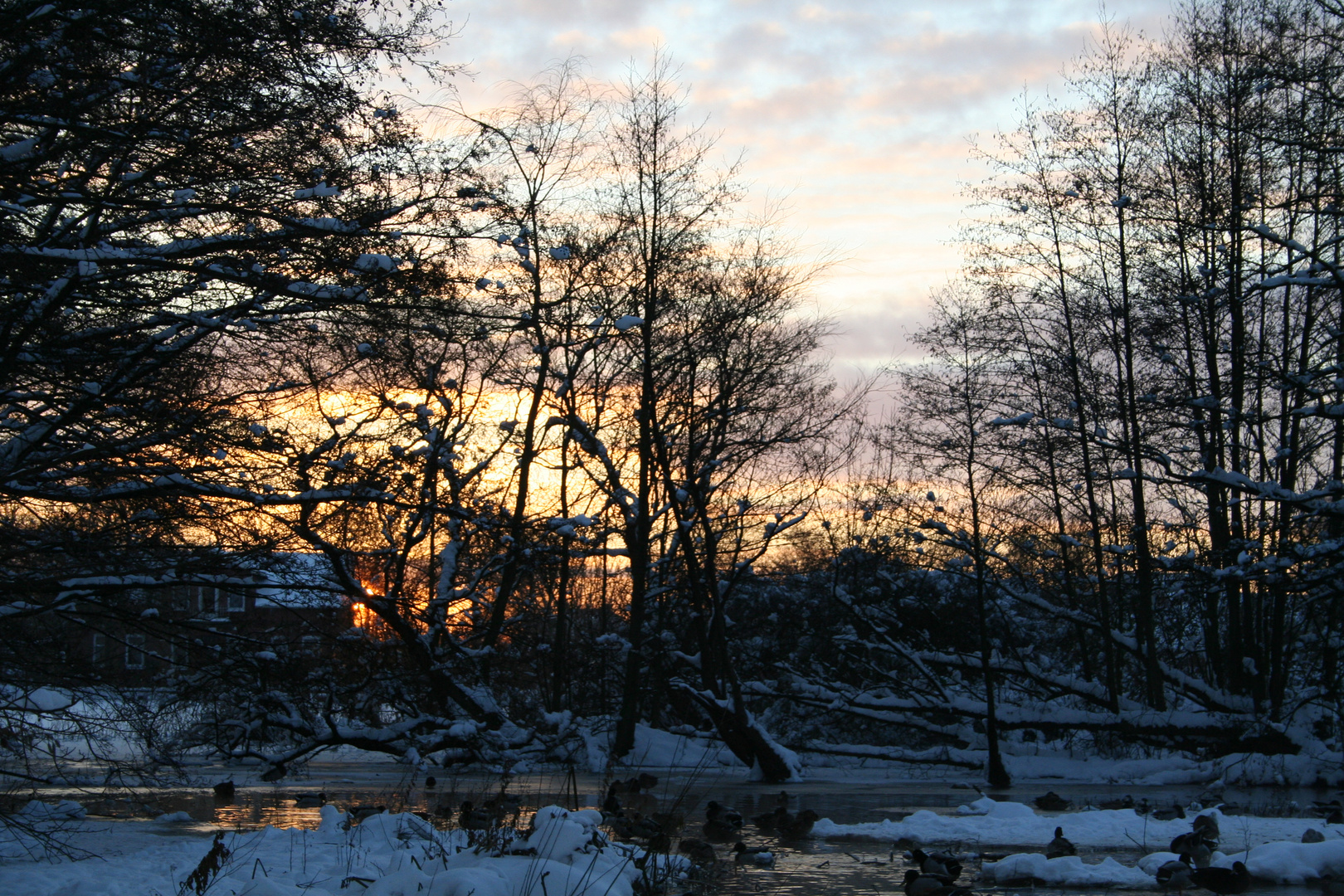 Schnee im Dezember