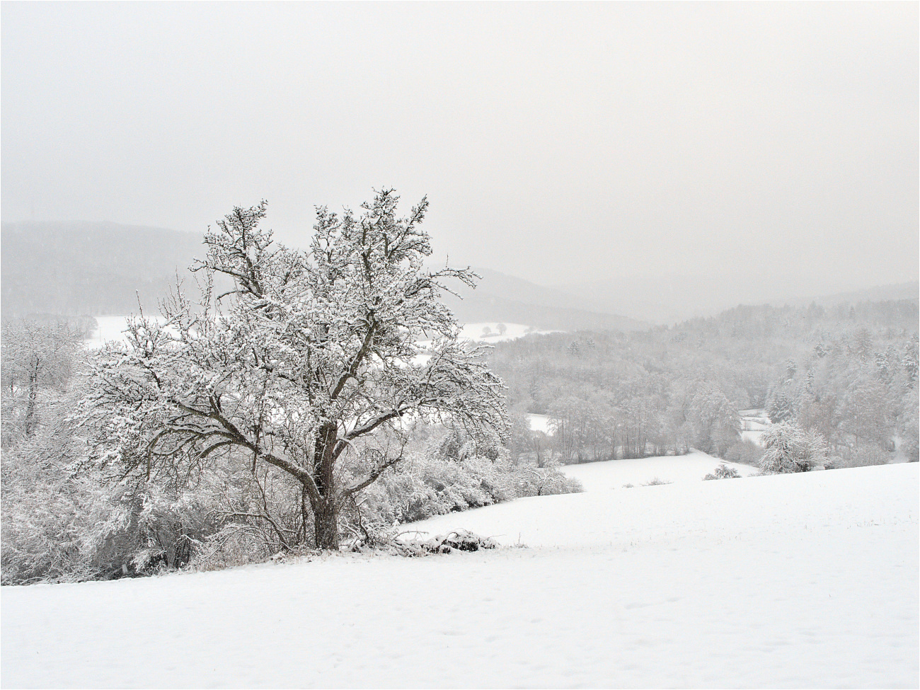 Schnee im Dombachtal