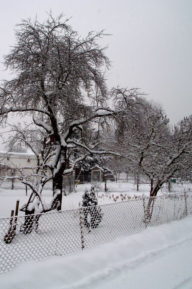 schnee im dorf