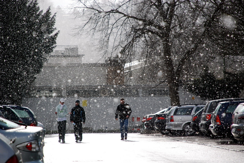 Schnee im Frühling