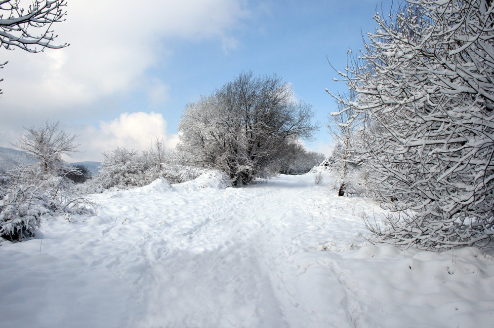 Schnee im Frühling