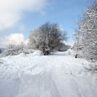 Schnee im Frühling