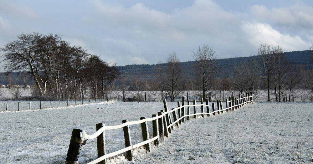 Schnee im Frühling?