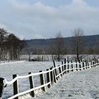 Schnee im Frühling?