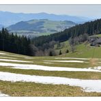 Schnee im Frühling