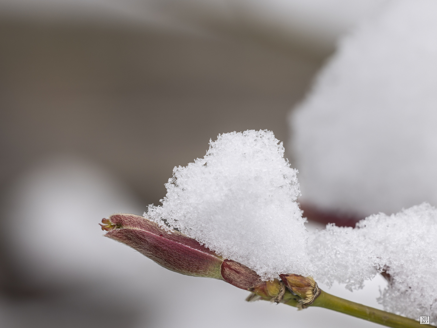 Schnee im Frühling