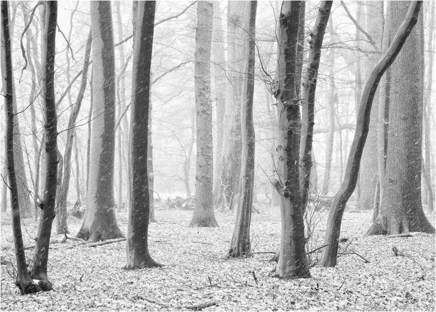 Schnee im Frühling