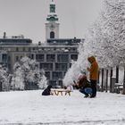 Schnee im Fürther Südstadtpark