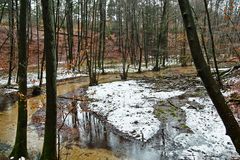 Schnee im Furlbachtal