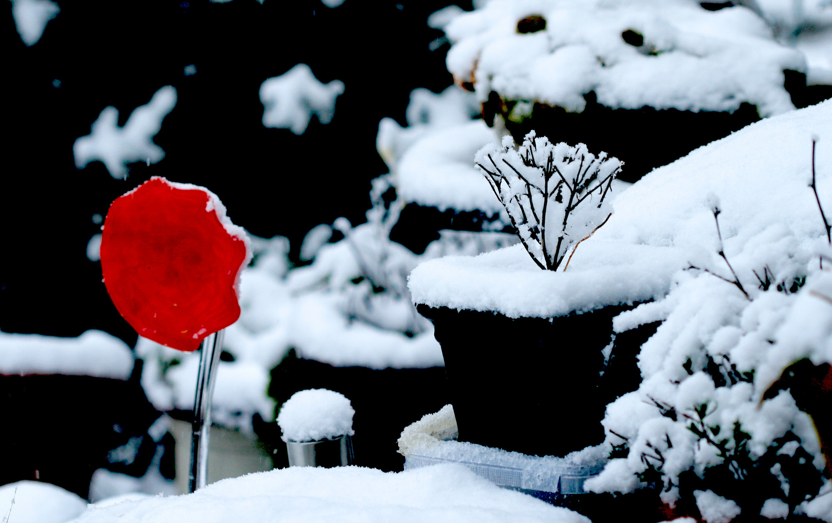 Schnee im Garten