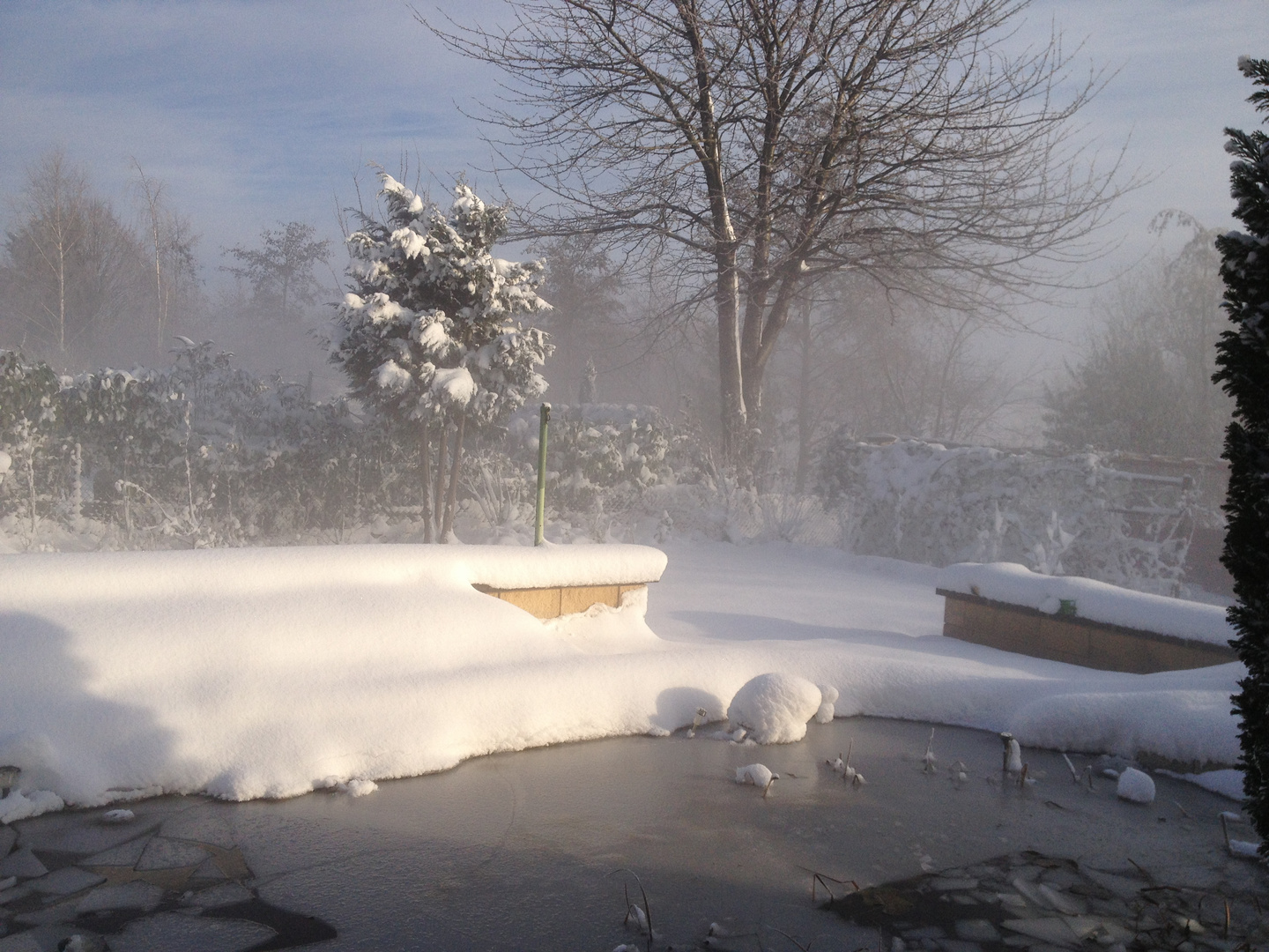 Schnee im Garten