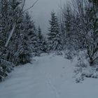 Schnee im Harz