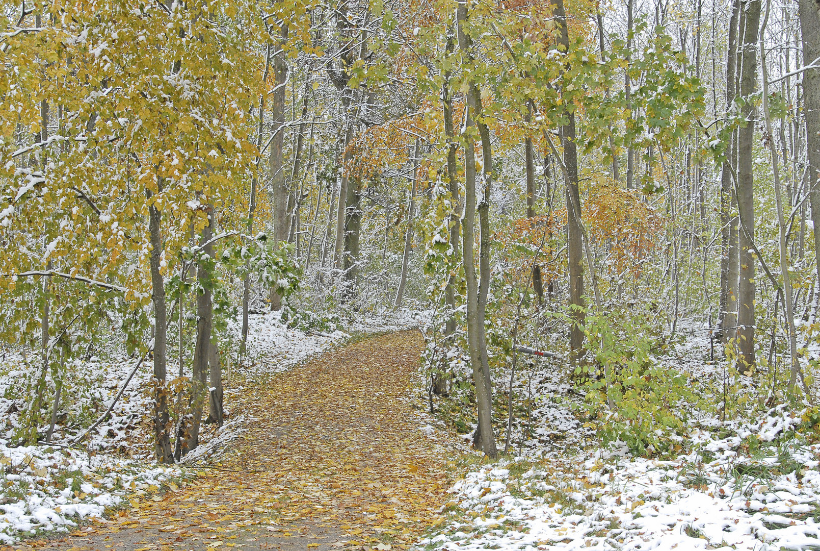 Schnee im Herbst