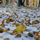 Schnee im Herbst,Oktober 2012