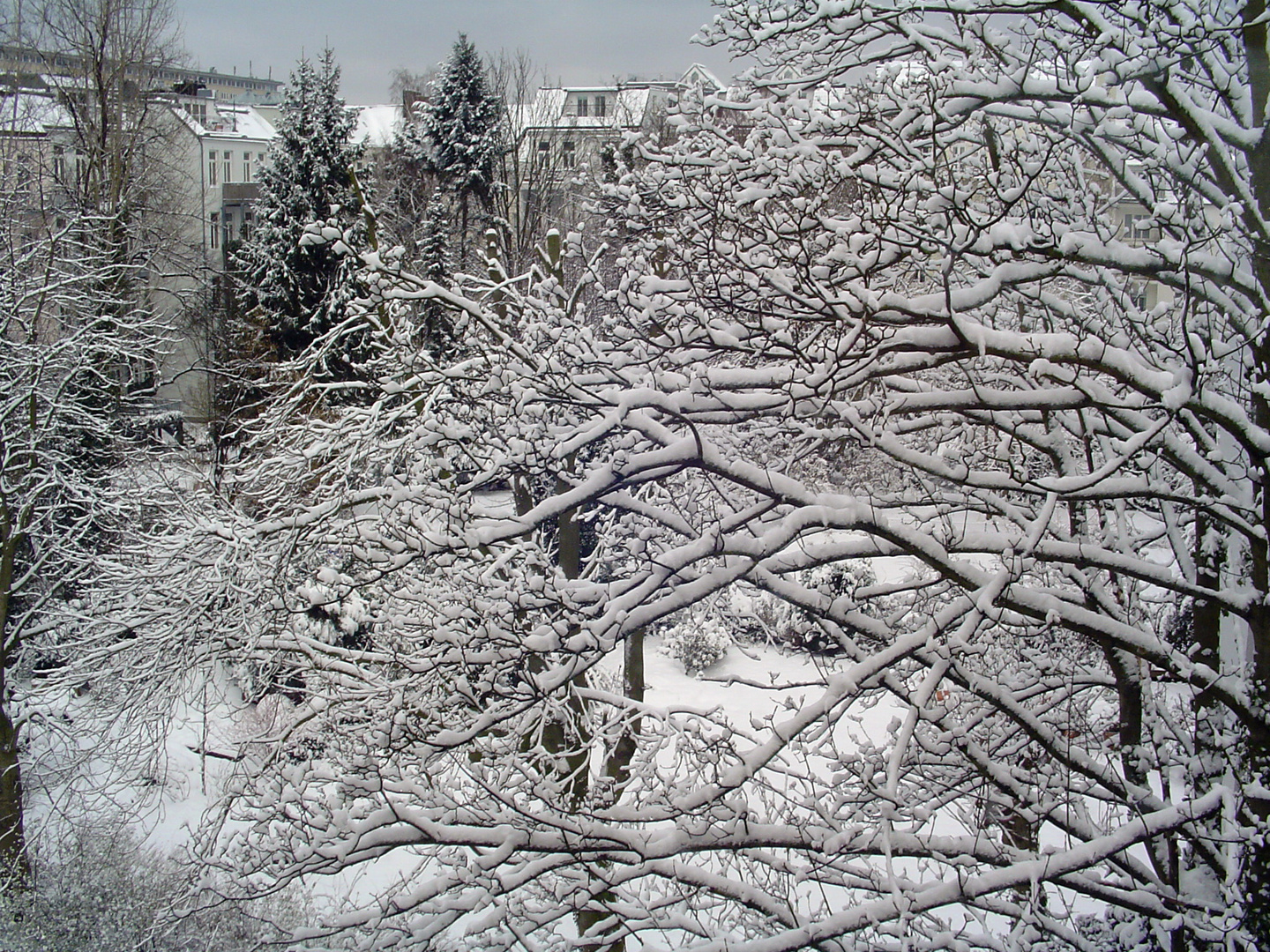 Schnee im HInterhof - 2013