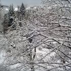 Schnee im HInterhof - 2013