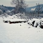 Schnee im Hochsauerland