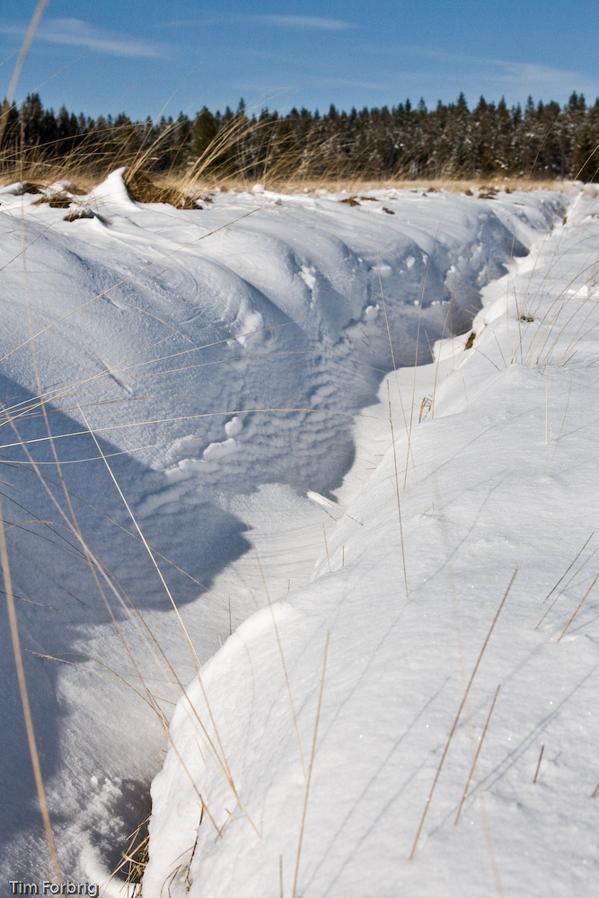 Schnee im Hohen Venn