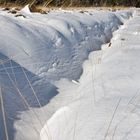 Schnee im Hohen Venn