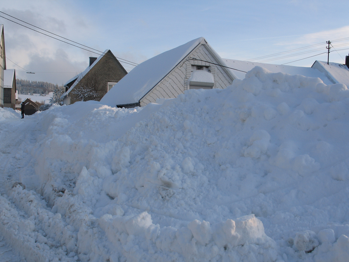 Schnee im Januar 2010