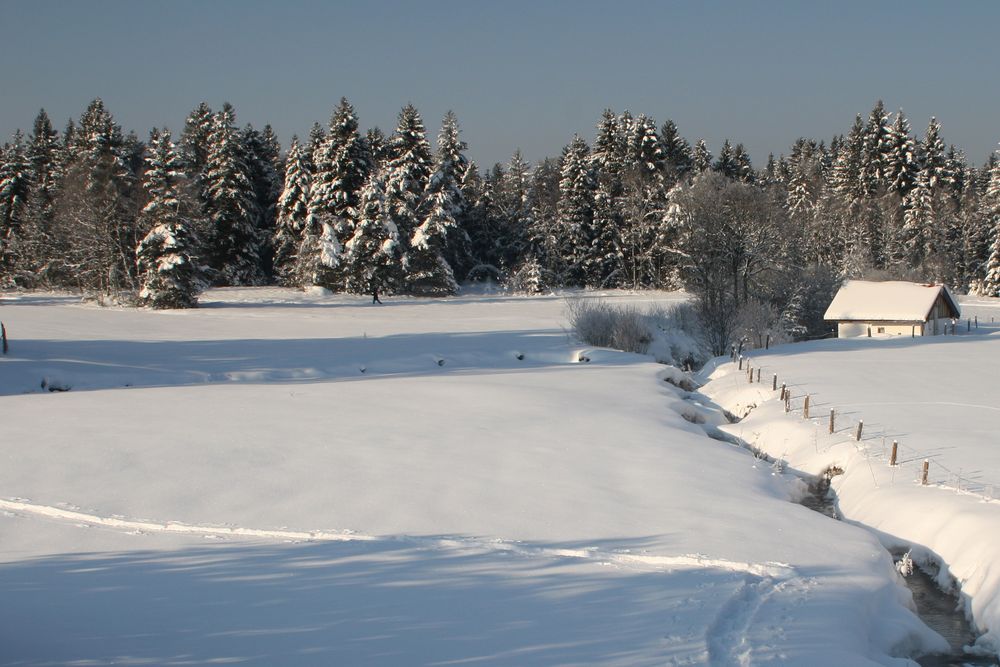 Schnee im Januar