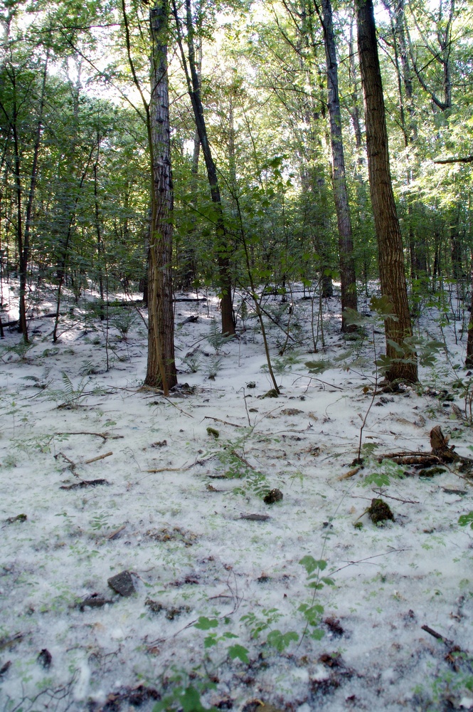 Schnee im Juni