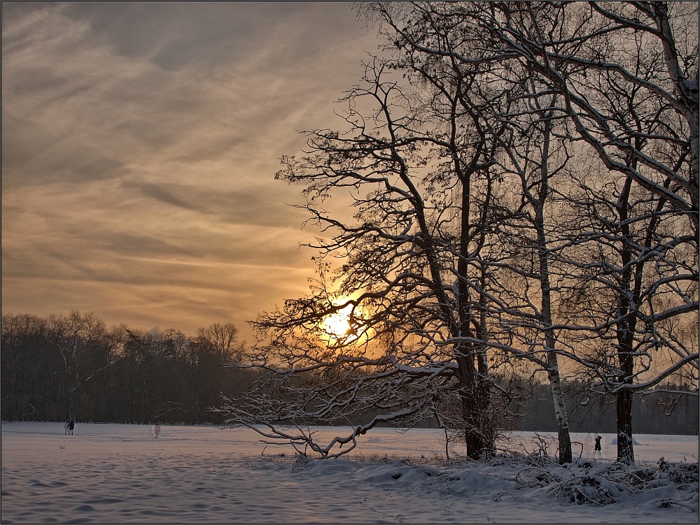 Schnee im Kölner Grüngürtel