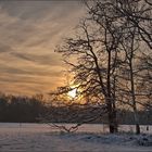 Schnee im Kölner Grüngürtel