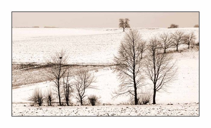 Schnee im Kraichgau 1