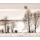 Schnee im Kraichgau 1