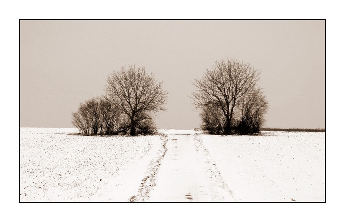 Schnee im Kraichgau 2