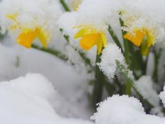 Schnee im März