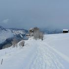 Schnee im März