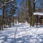 Schnee im März