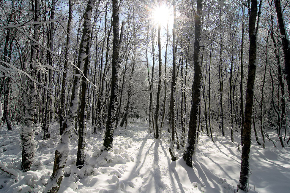 ~ Schnee im März ~