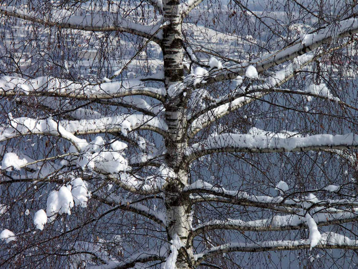 Schnee im März...