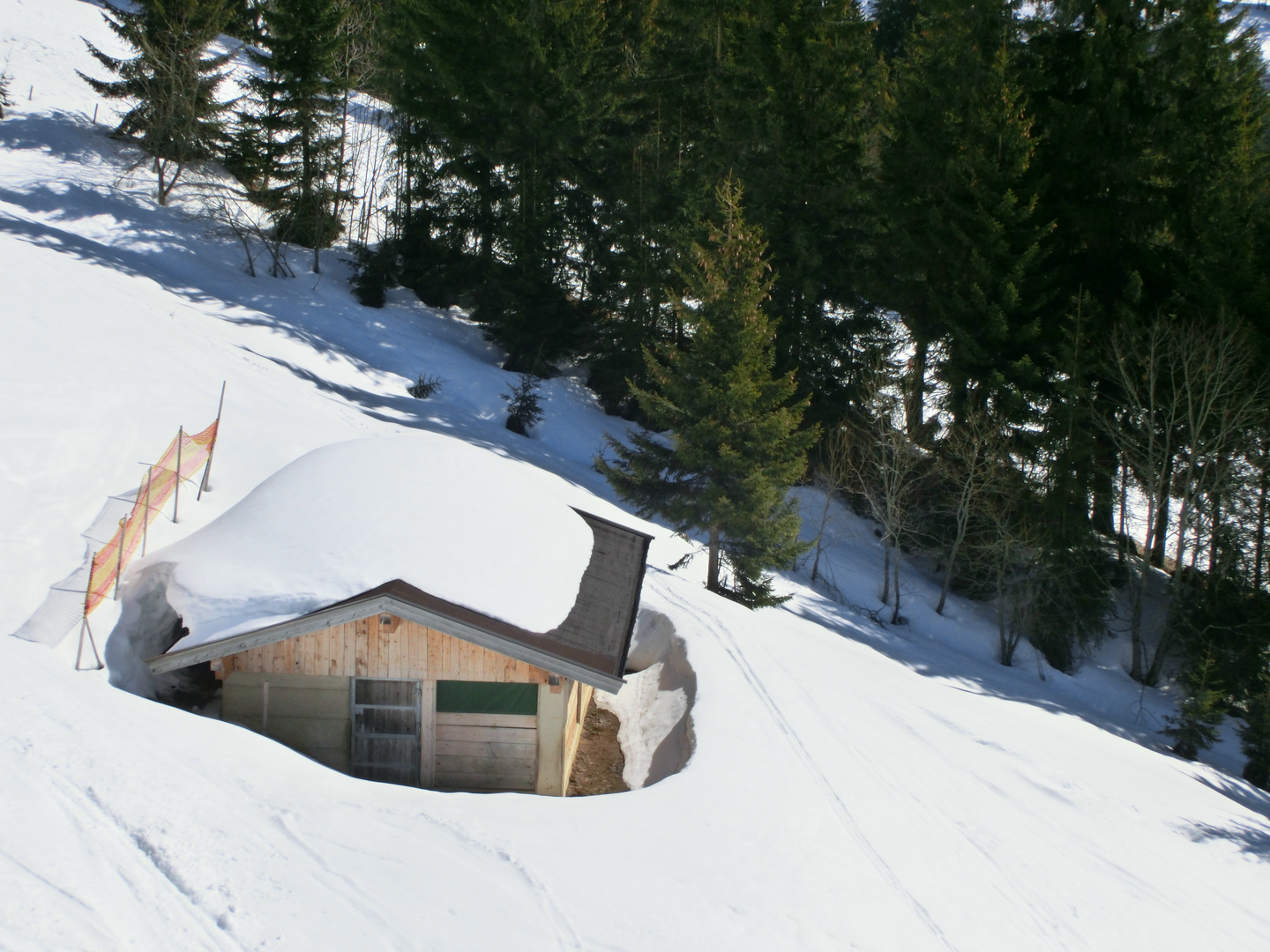 Schnee im März