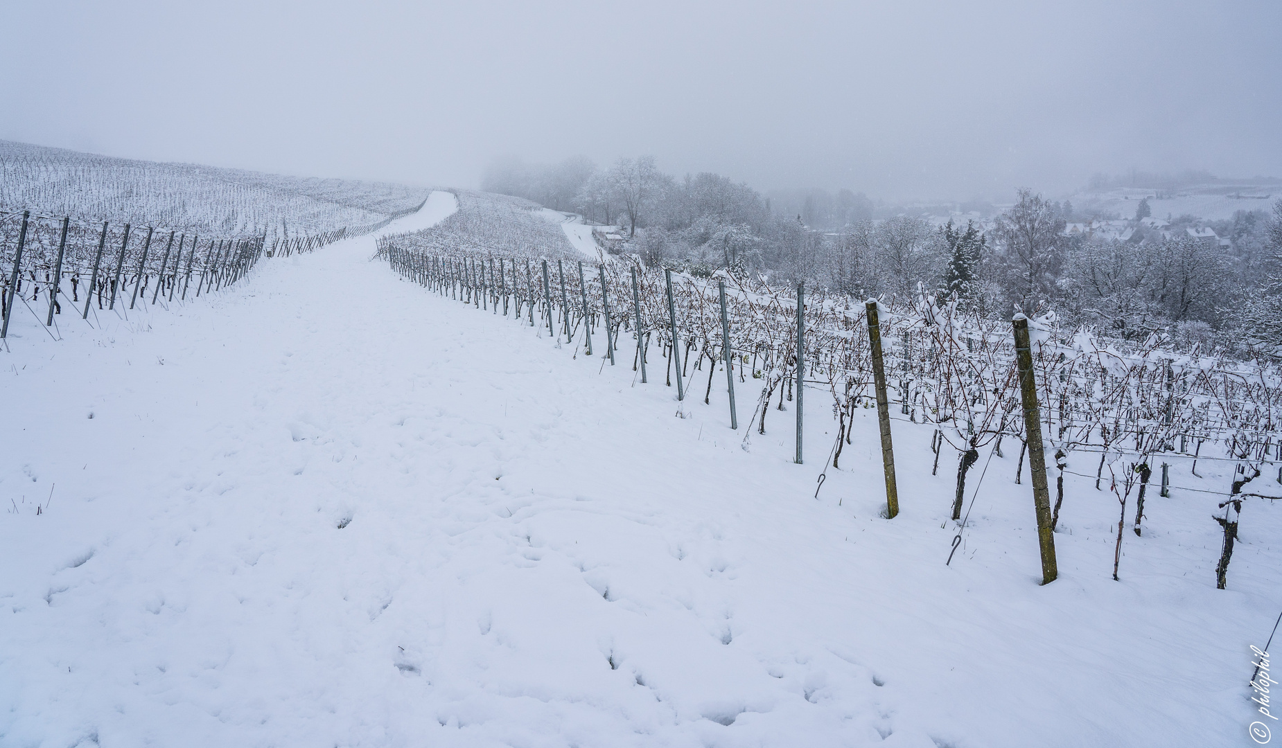 Schnee im Markgräflerland