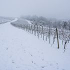 Schnee im Markgräflerland