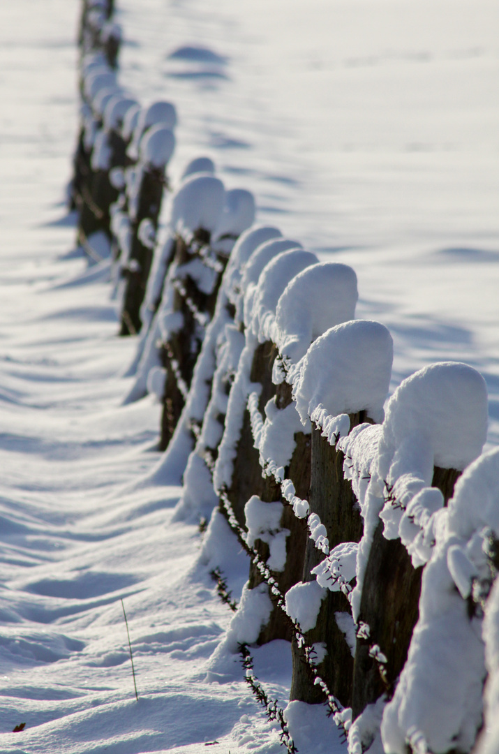 Schnee im Münsterland