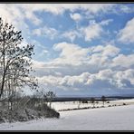 Schnee im Naturpark